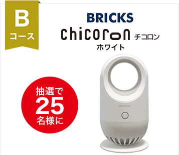 BRICKS チコロン ホワイト