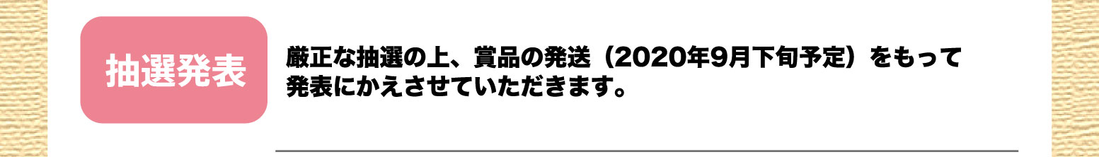 抽選発表：厳正な抽選の上、賞品の発送（2020年9月下旬予定）をもって発表にかえさせていただきます。