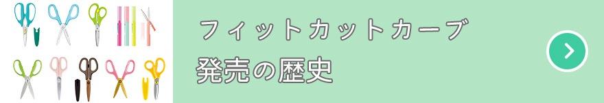 フィットカットカーブ発売の歴史