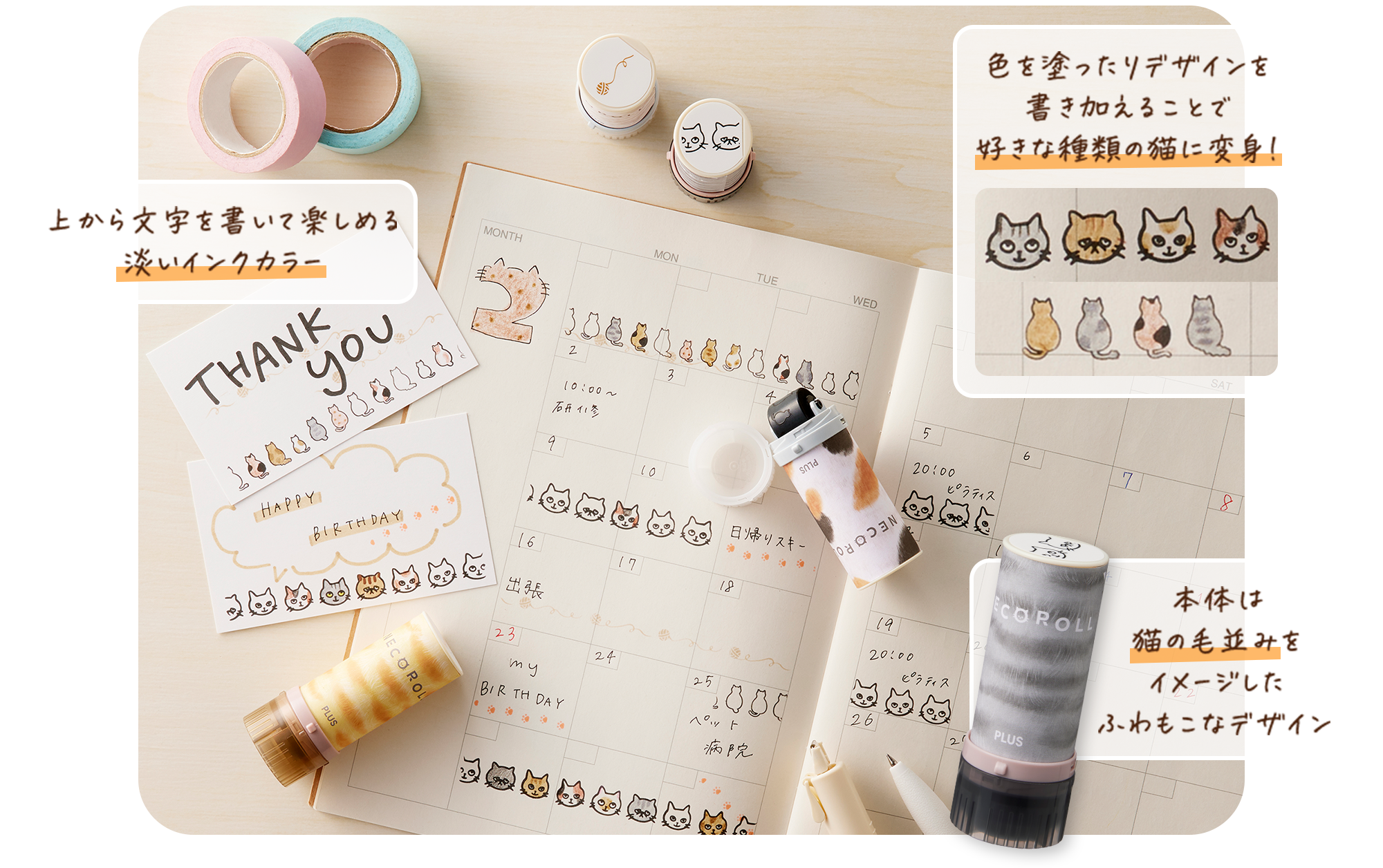 色を塗ったりデザインを 書き加えることで 好きな種類の猫に変身！