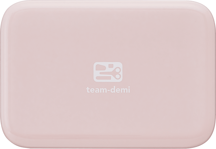 team-demi（チームデミ）：さくら